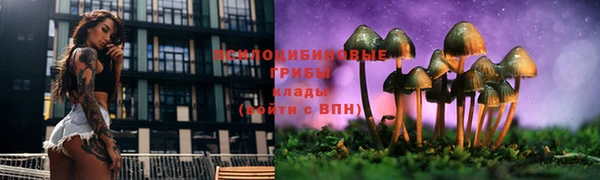 амф Абаза